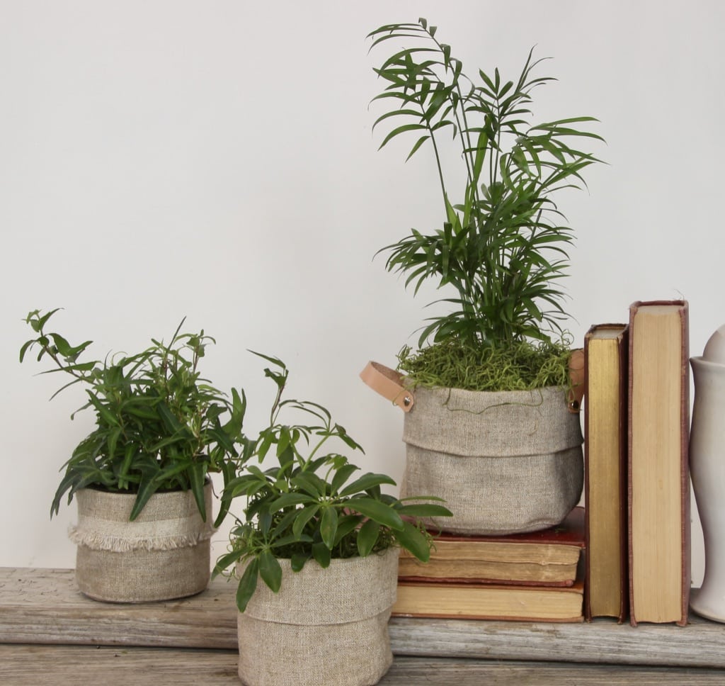 Little Pots for Hungry Tots