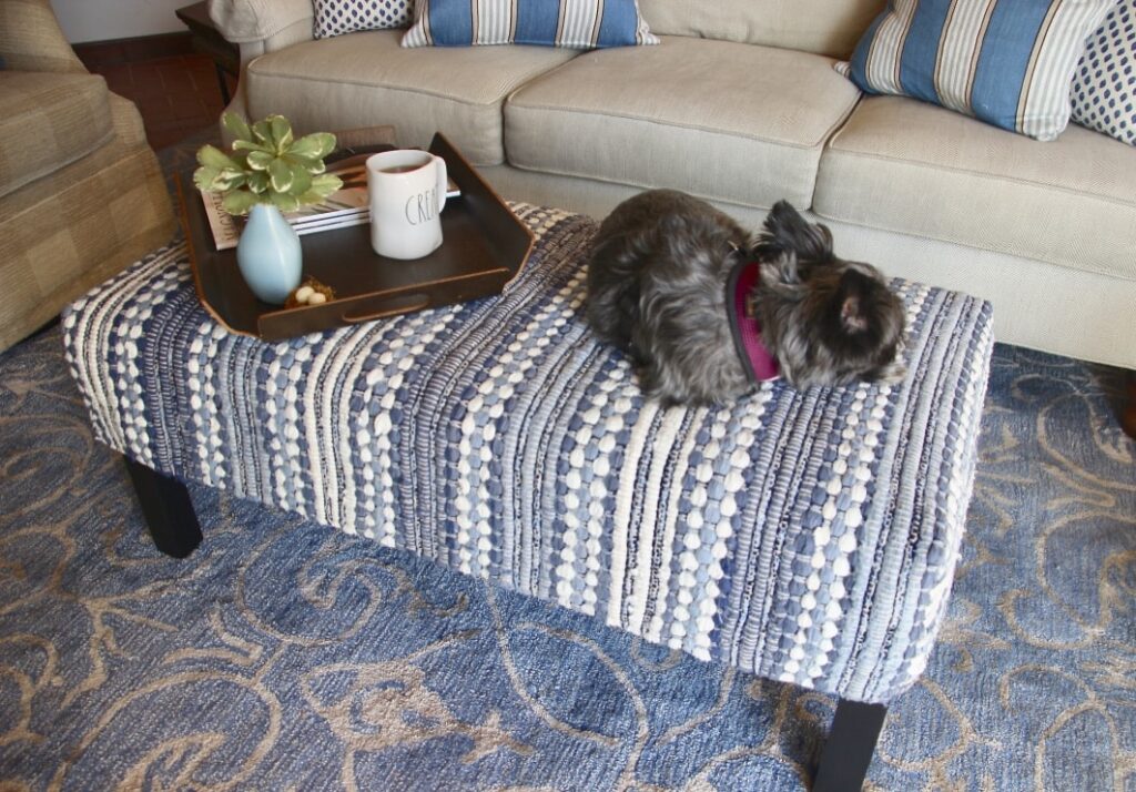 dog curled up in a nap pose on the ottoman. Guess he approves.