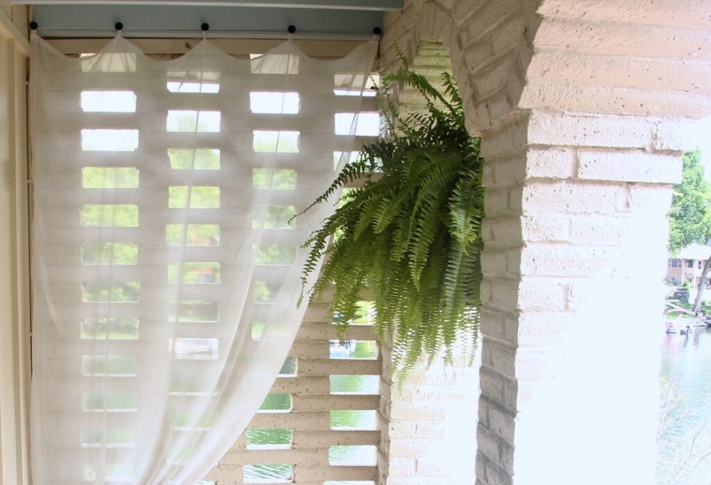 Sheer curtain hanging on balcony with boston fern
