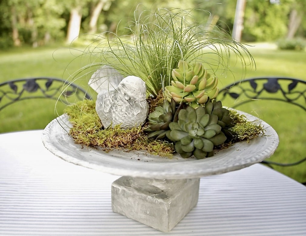 Faux concrete birdbath centerpiece with bird and succulents
