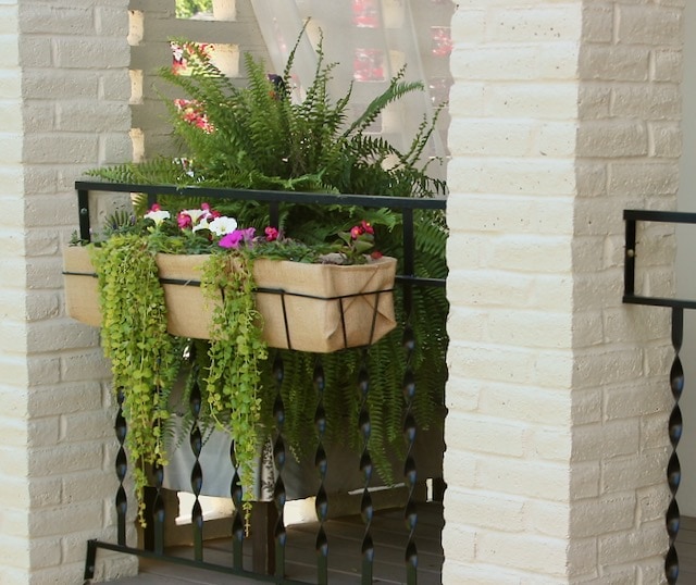 black iron railing is installed between two large brick. columns and a flower box is attached with creeping jenny and impatient spilling over and a fern behind