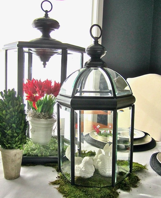 Lanterns for Spring with tulips and white doves on moss