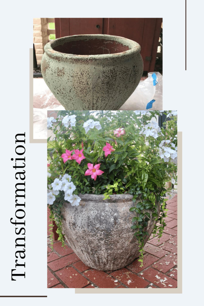 Pin image for transforming outdoor pots 