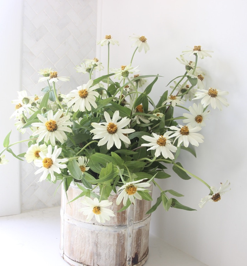 Loose Daisy Arrangement in Round Wood Planter