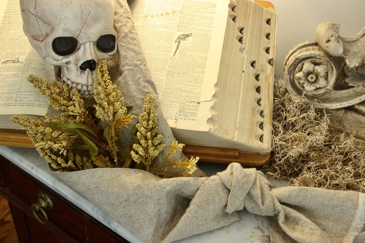Skull and skinny table runner on encyclopedia display