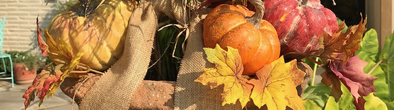 Closeup of pumpkins and fall leaves