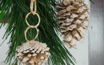 Bleached and Frosted Pinecone Tassels