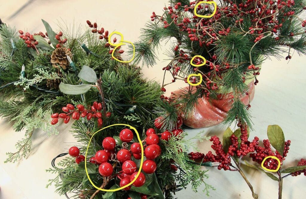 Four different holiday greens all with damaged red berries