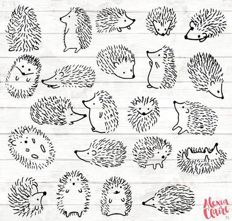 Little hand drawn hedgehogs