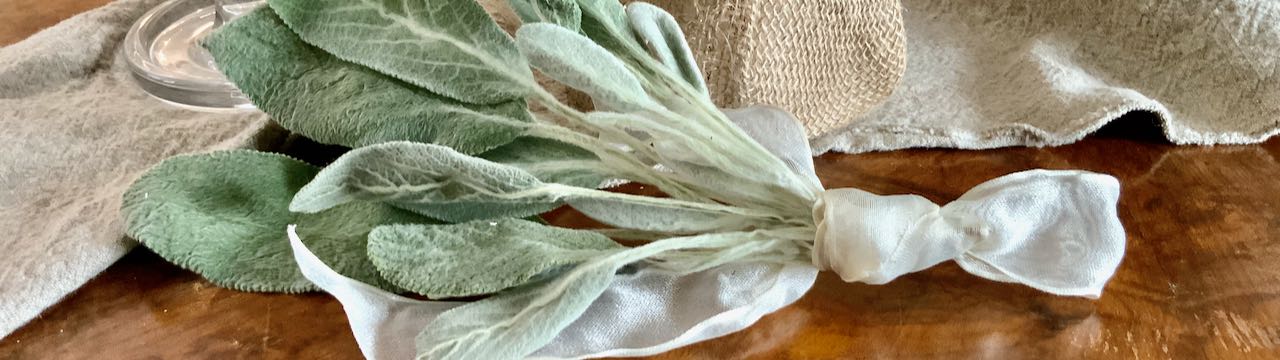 Closeup of dried lamb ear bundle tied with ribbon