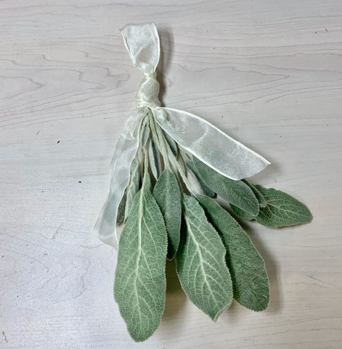 Finished bundle of dried lambs ear with ribbon tied around the stems and loop