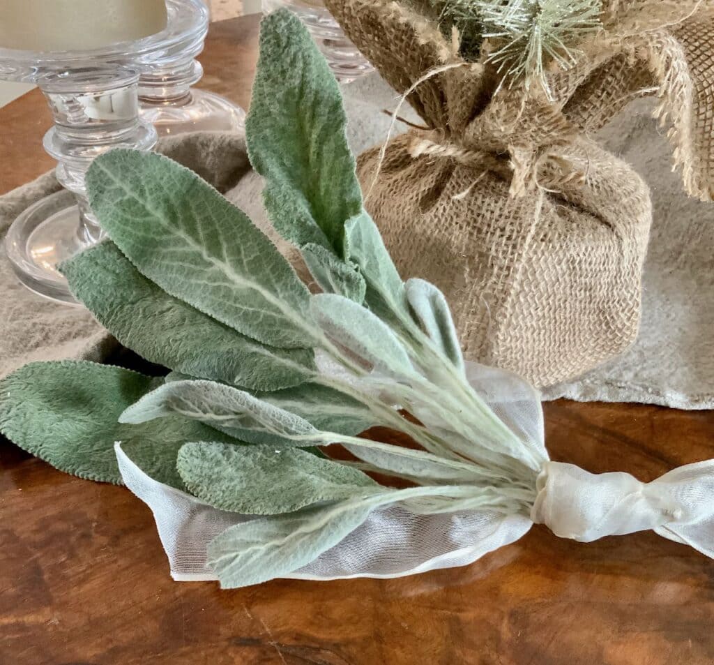bundle of lambs ear tied with ribbon on a table