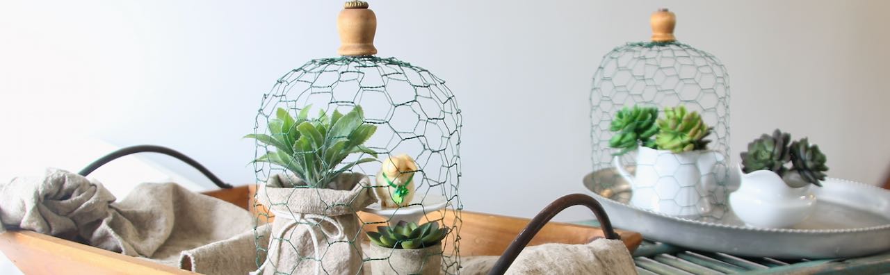 Closeup of One Wire Cloche with another in the background filled with little plants on a long vintage shutter