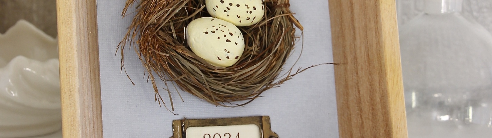 Closeup of speckled eggs in nest in frame