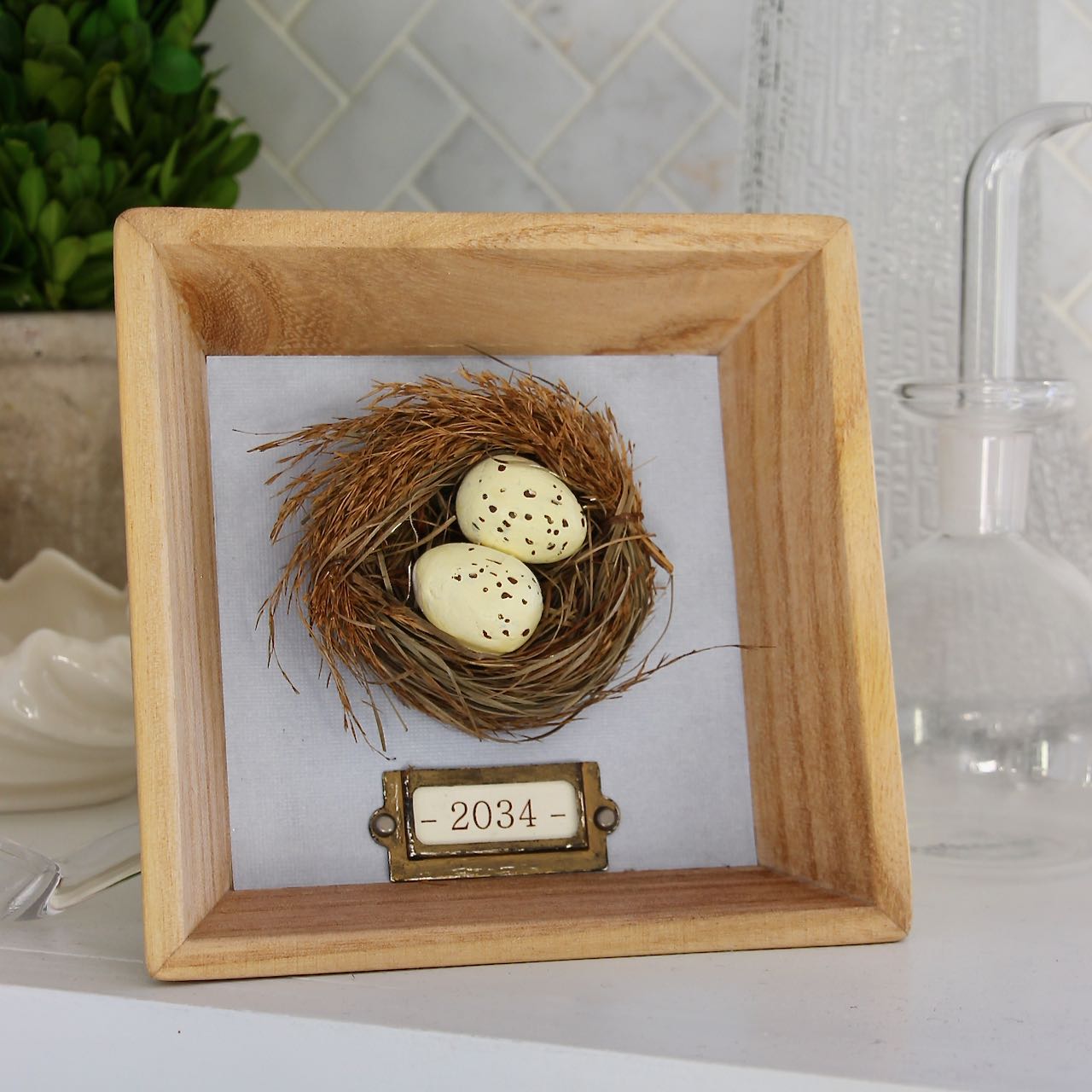 Framed Nest on Kitchen Ledge