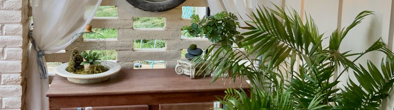 Super closeup picture of the top of a wood cabinet with stone accessories on top and a large palm plant in front with sheer curtains on each side