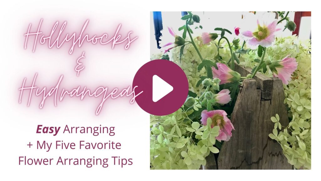 Closeup of an arrangement of hollhock cut flowers and hydrangeas in an old wood toolbox with a title; Hollyhocks & Hydrangeas: + my Five Favorite Flower Arranging Tips