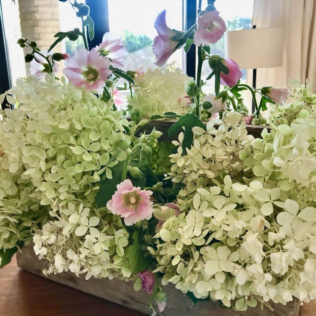 side view of vintage wood toolkit filled with Hydrangeas and tall, blooming Hollyhocks