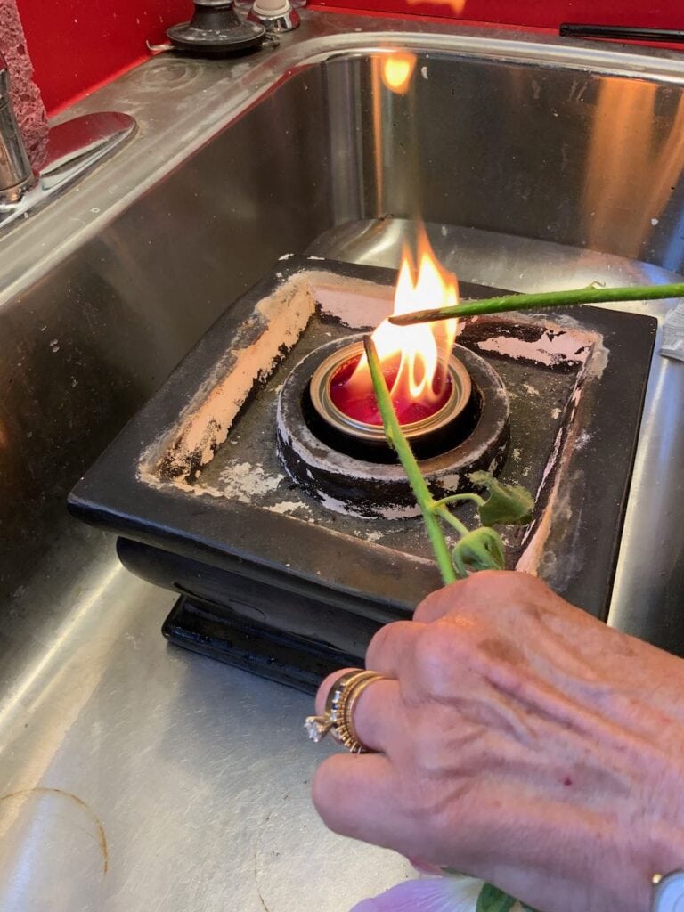 Two hands holding two stems of holly hocks in a flame in a stainless steel sink