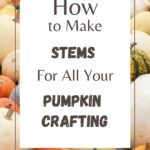 Pin with a background of pumpkins and a cover that read "How to Make Stems for all your Pumpkin Crafting"