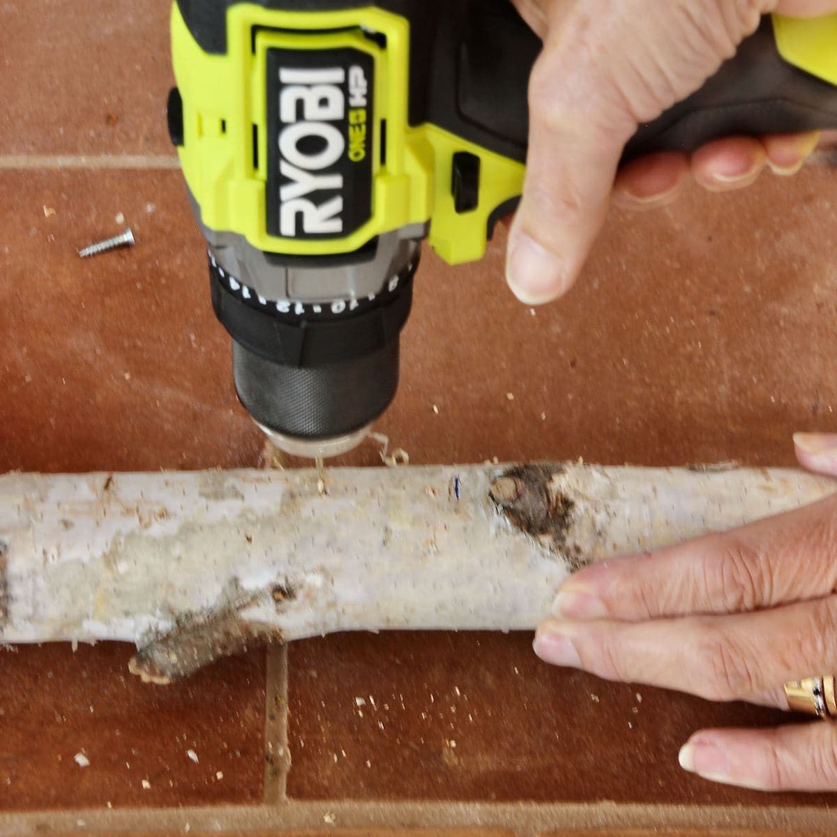 Closeup of a woman's hand drilling a pilot hole in the birch branch