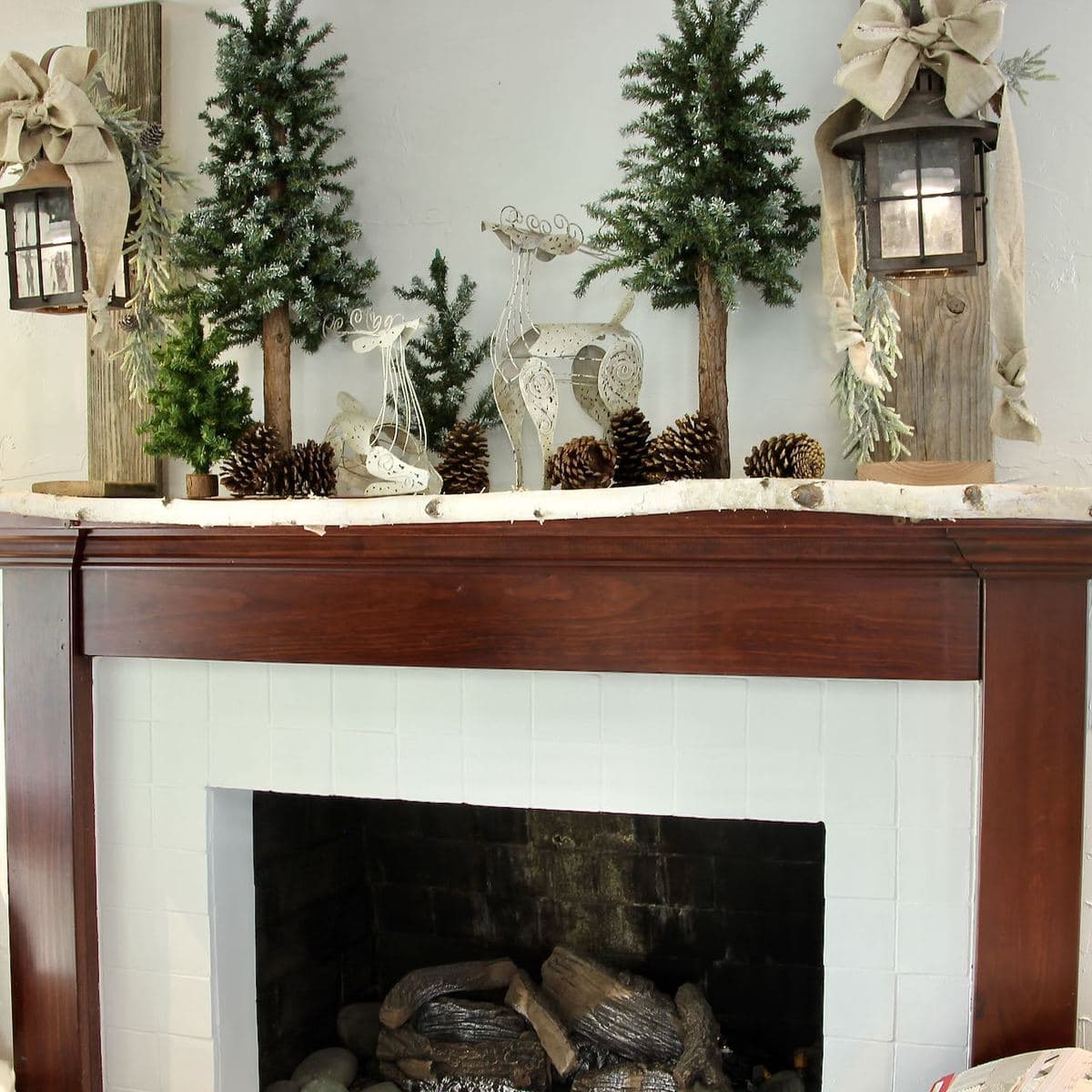 Birch branch suspended over the edge of the wood mantel