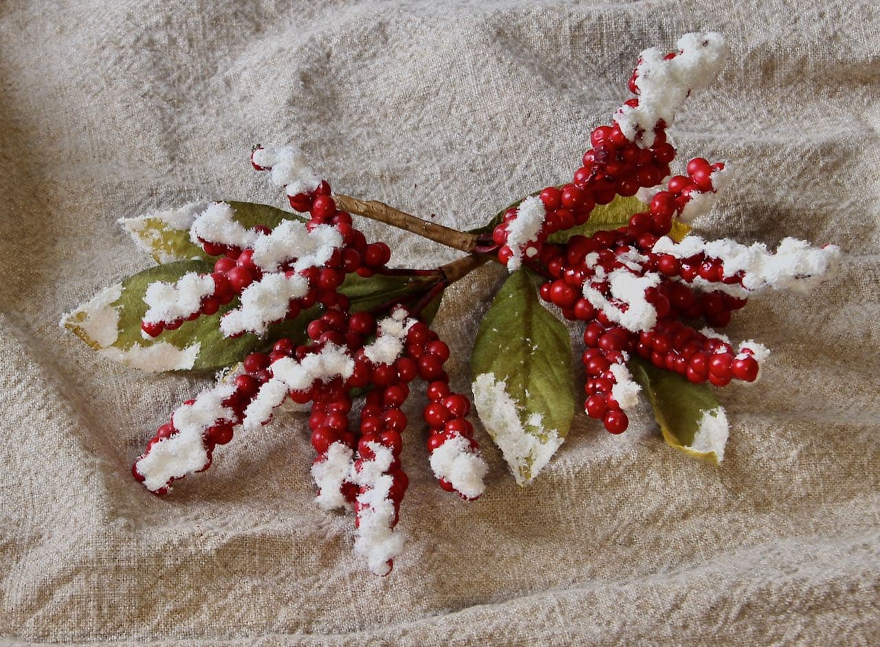 image of picks of red berries after they have been flocked with faux snow