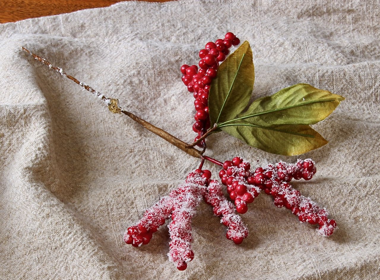 picks of red berries that have a light dusting of frost