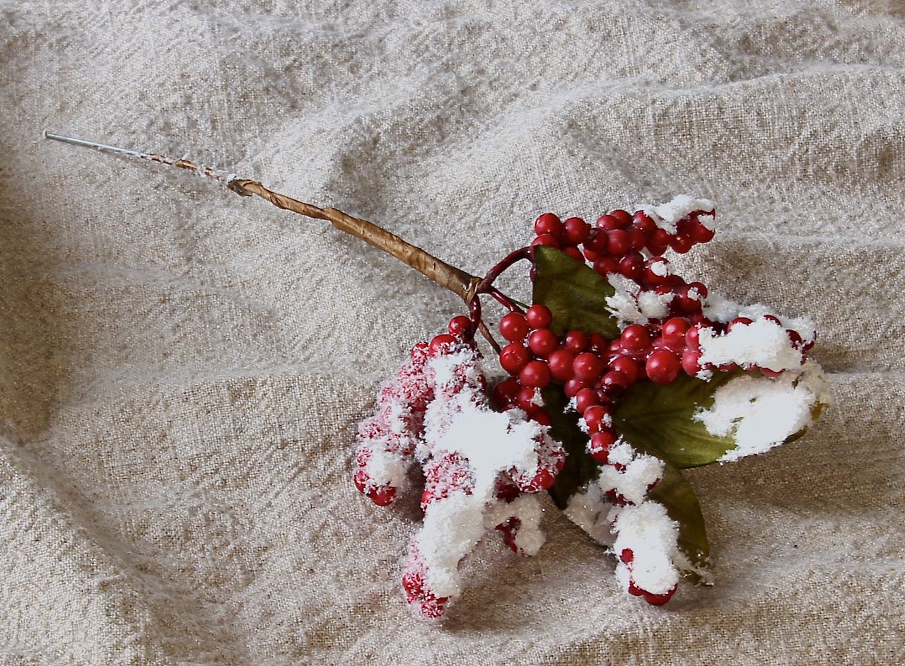 image of a craft fail of berries frosted and then flocked!