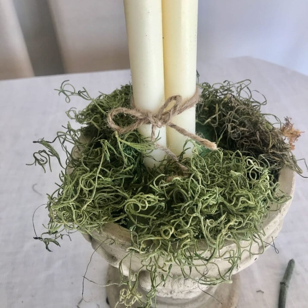 Bundle of three taper candles in an urn with preserved moss filling the top of the urn and the rubberband.