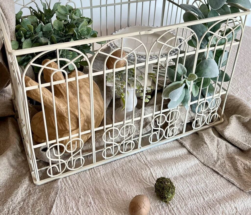 closeup of birdcage partially filled with elements. and two eggs are on the table  in front