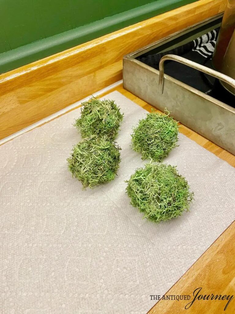 Four moss balls on paper towels. on a wood counter