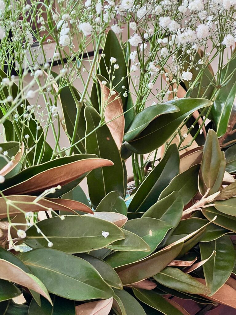 Closeup of the bold, dramatic magnolia leaves with sweet, wispy Baby's Breath peeking out above