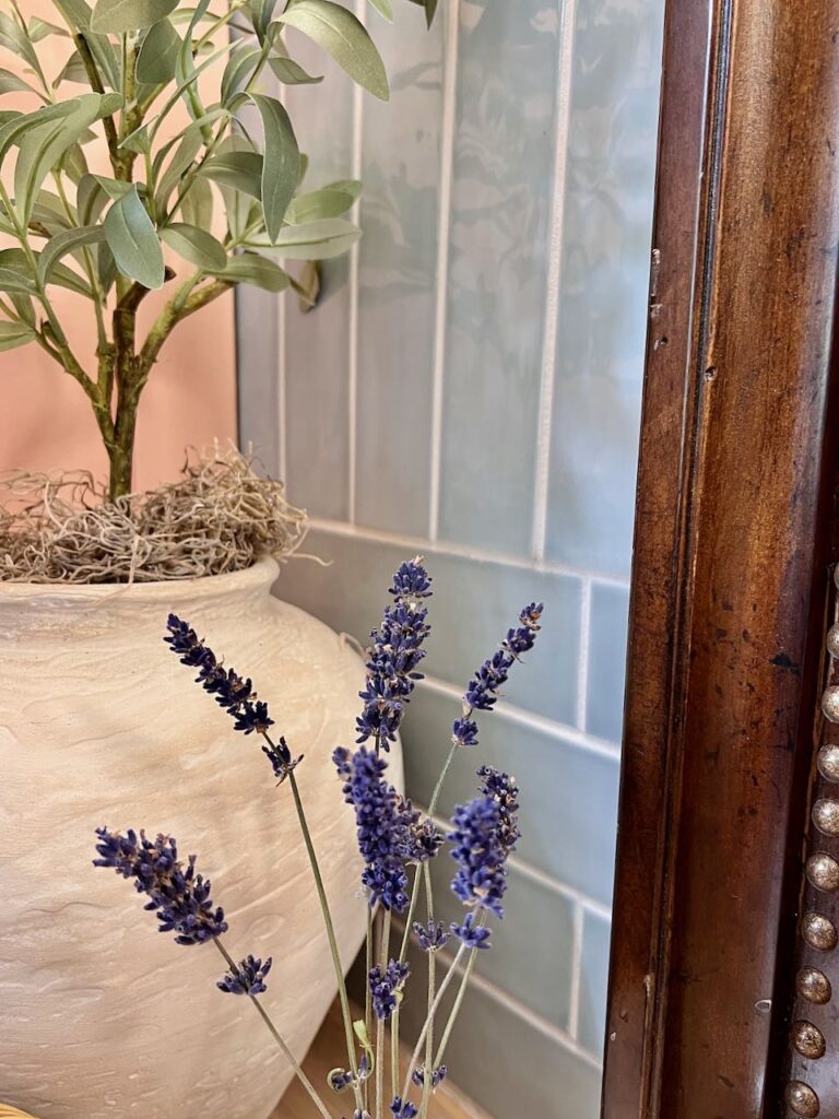 super closeup of a pottery urn with an olive tree and some lavender in front