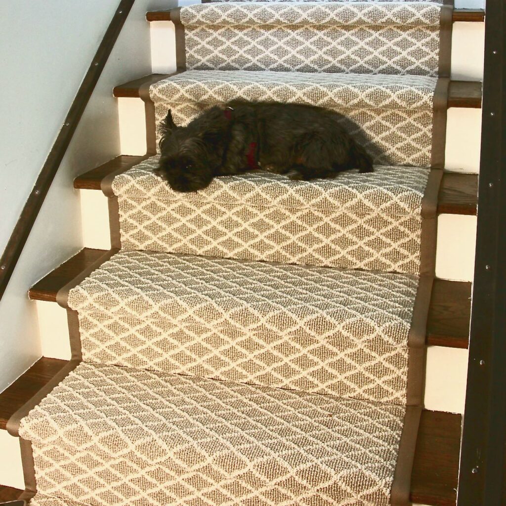 Image of small black and silver dog peacefully laying on the stair runner halfway up the flight of stairs
