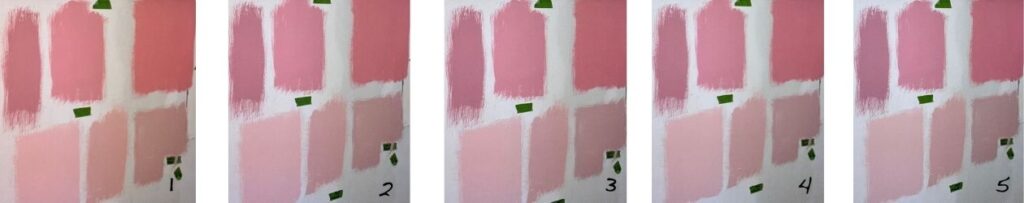a gallery of 5 versions of the same coral paint swatches taken with light set at different Kelvin ratings
