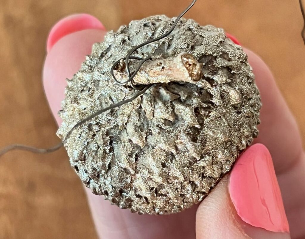 Woman's fingertips holding the acorn with a piece of wire wrapped around the stem