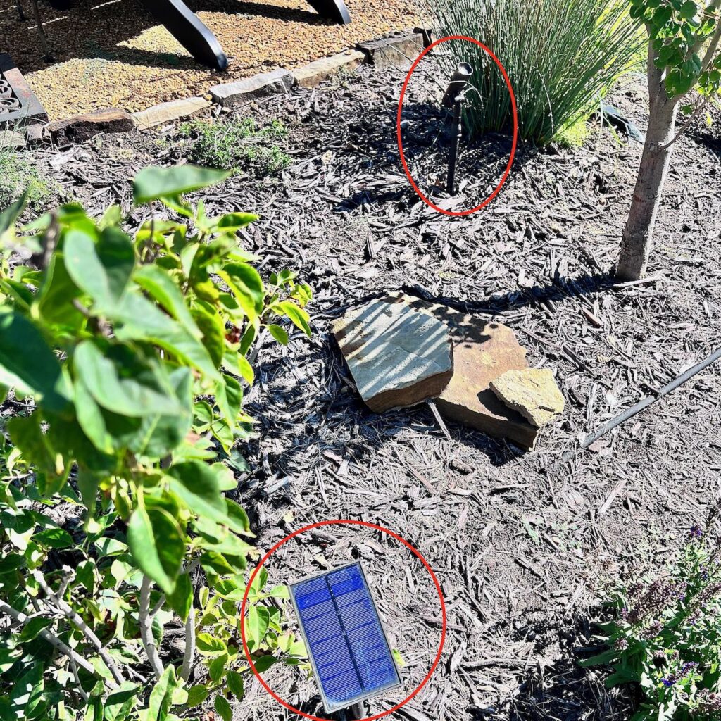 a remote photocell is hiding behind a shrub with it's tree uplight shown under the tree