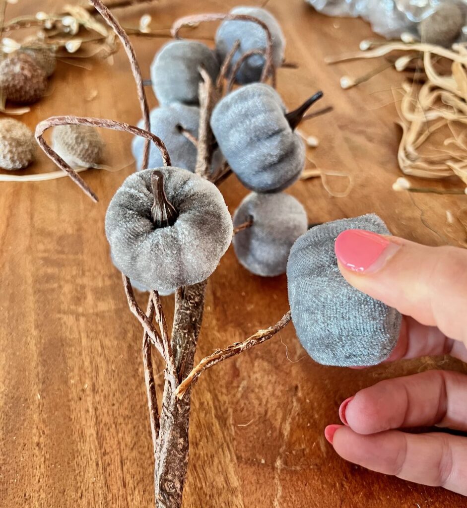 Woman's hand holding one mini velvet pumpkin that was carefully pulled off a branch of many small pumpkins