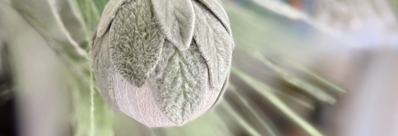 wide super closeup of part of a Lambs Ear Christmas ornament