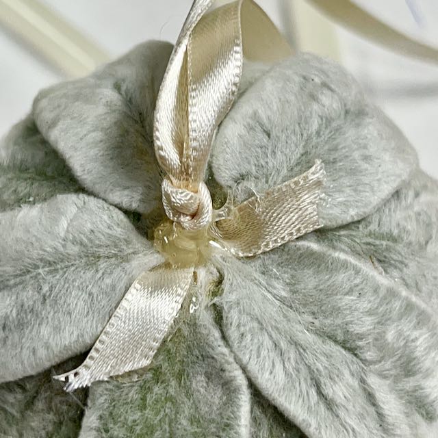 super closeup of the leaves coming together at the top of the bulb with a loop of ribbon glued on top