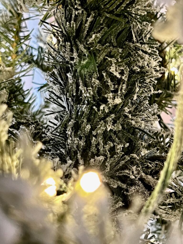 closeup of the greenery covered trunk with snow