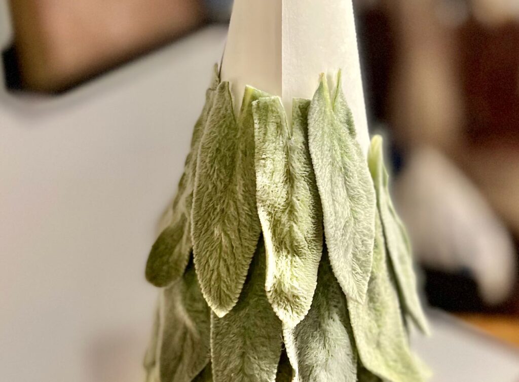 Closeup of succeeding rows of labs ear glued to cone some with the top spine split to lay flat