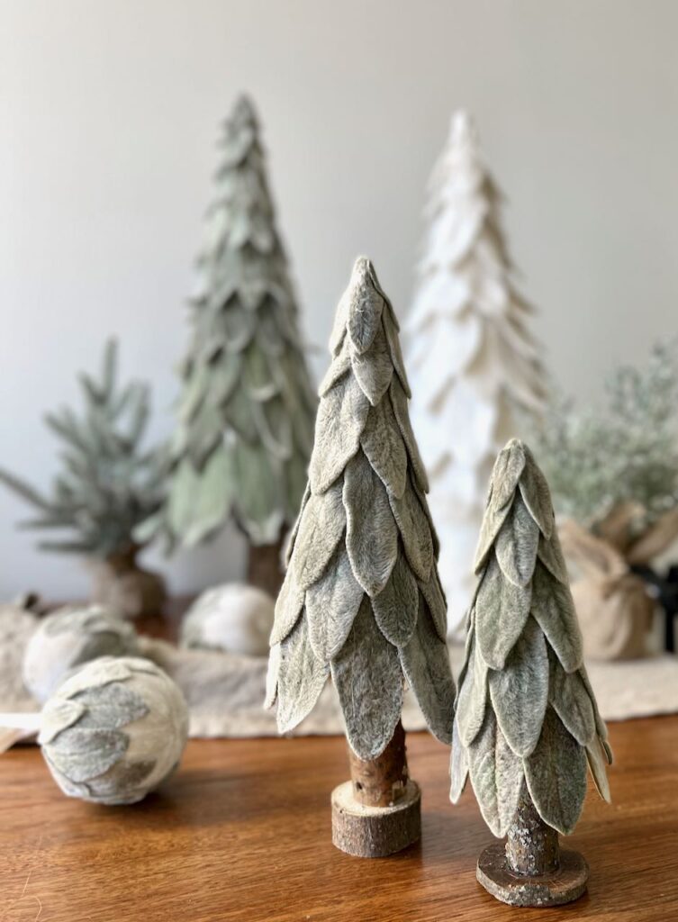 Two lambs ear tabletop trees with others around