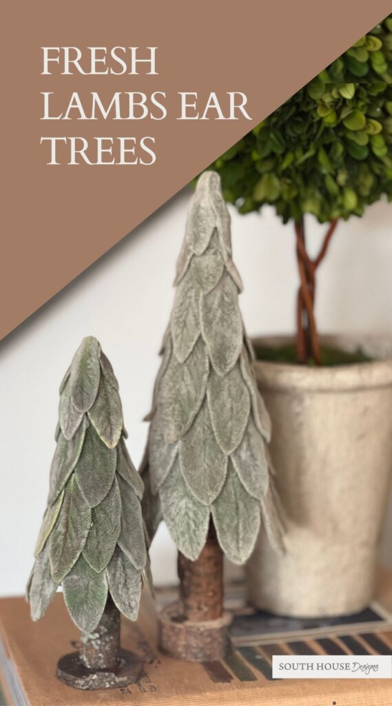 Pinterest Pin with two finished trees on books caption: Fresh Lambs Ear Trees
