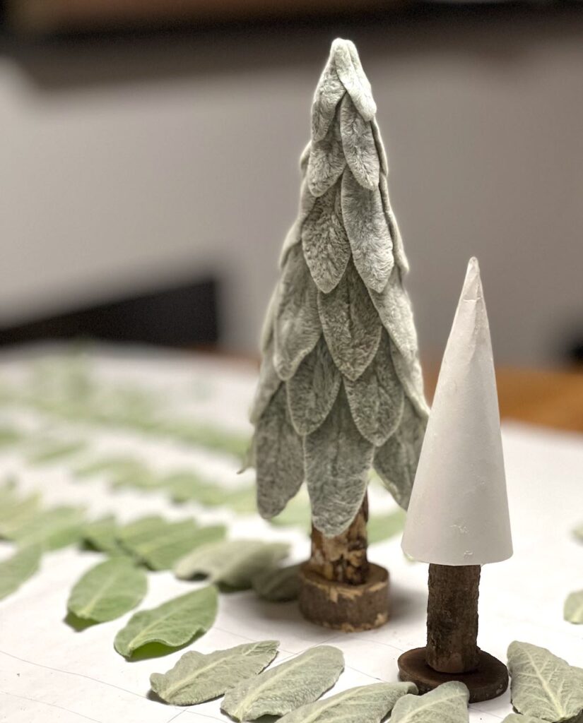 A tall thin cone lambs ear tree next to a cone tree waiting to be covered in lambs ear leaves