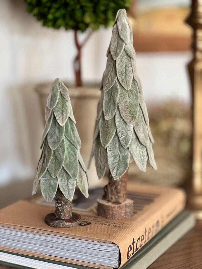 Two lambs ear trees on a stack of books