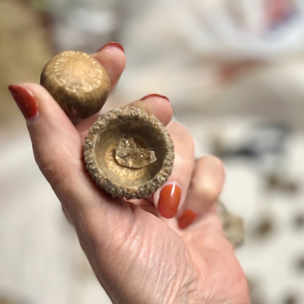 woman's hand holding the nut of an acorn and the cap with hot glue inside