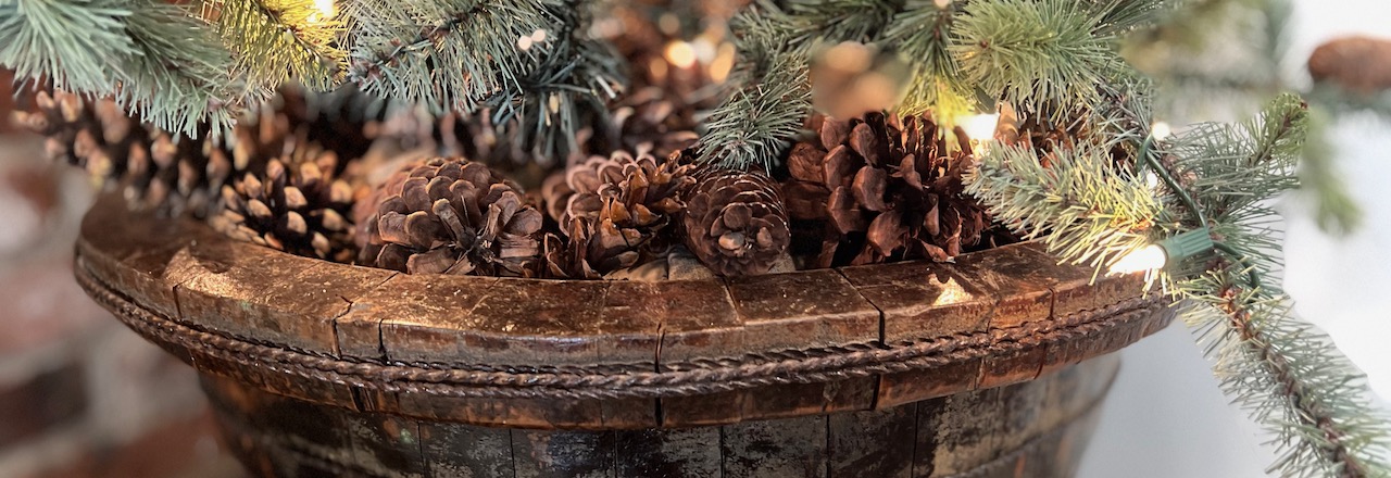 Wide closeup of the lowest branches of a Christmas tree above a large antique wood bowl filed with pine cones