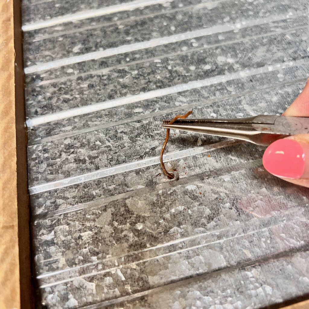 Closeup of needle nose pliers pulling on a coil of rusted wire on the back of a piece of corrugated steel